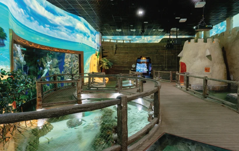 Beyond The Glass Ticket