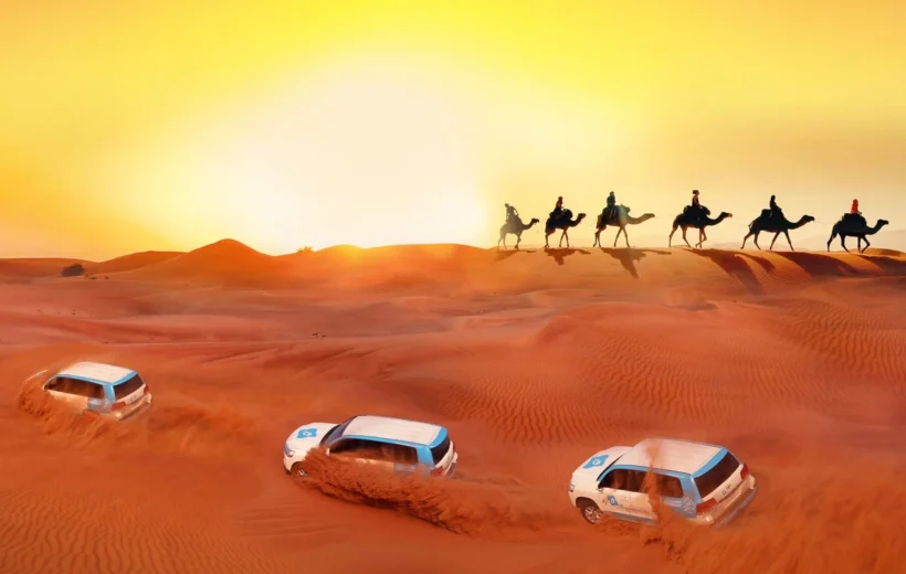 Premium Desert Safari